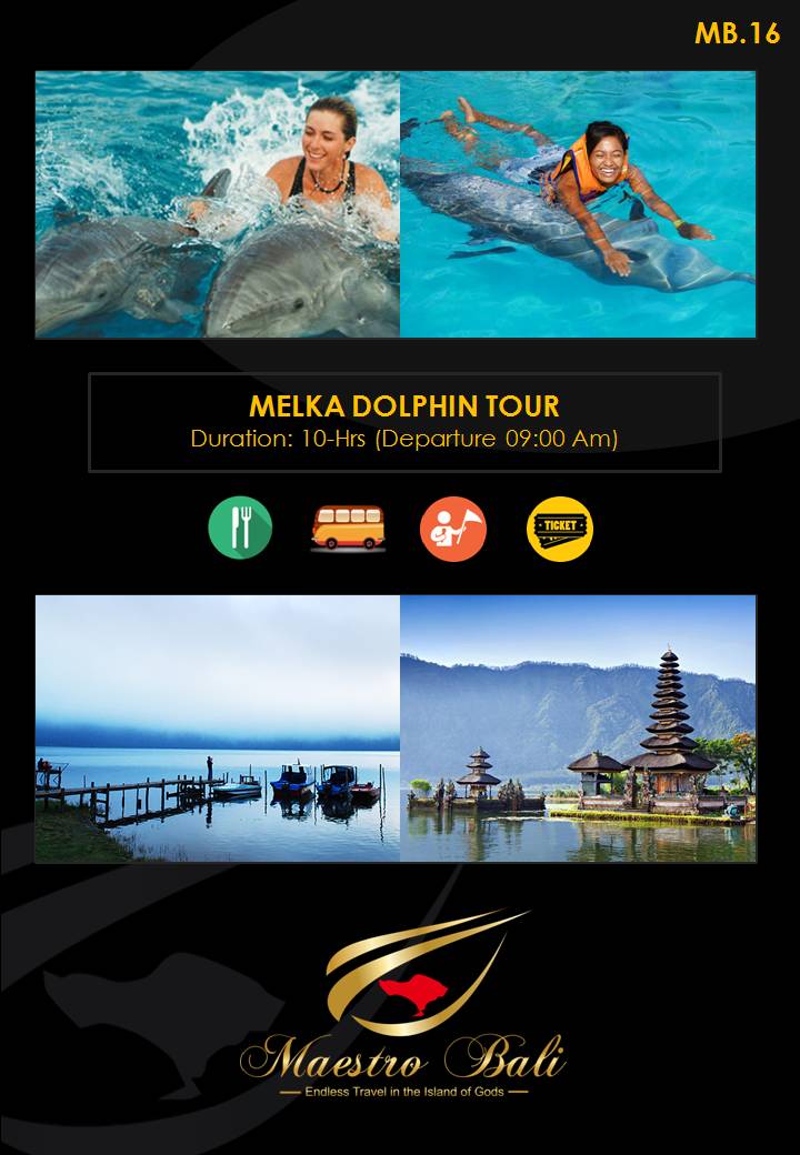 Melka Dolphin Tour